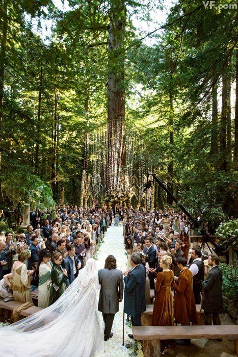 BizBash Names Got Light as 2014 Winner of Best Event Lighting Design | Redwood Forest Wedding