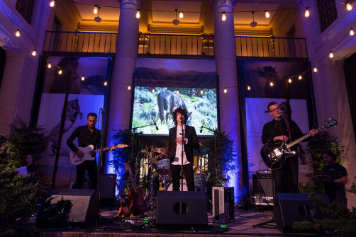 SAN FRANCISCO, CA - October 19 -  LP attends Bently Foundation, Wild Night event October 19th 2016 at Bently Reserve in San Francisco, CA (Photo - Natalie Schrik for Drew Altizer Photography)